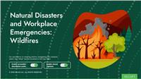 Natural Disasters and Workplace Emergencies: Wildfires