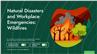 Natural Disasters and Workplace Emergencies: Wildfires