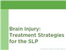 TBI: Treatment Strategies for the SLP